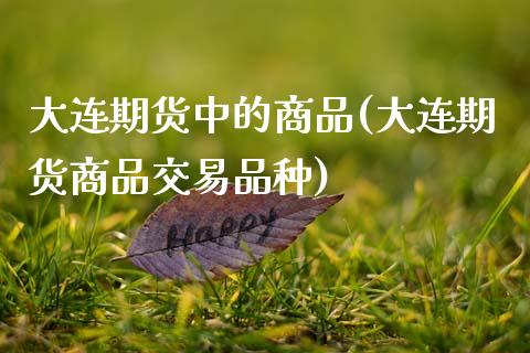 大连期货中的商品(大连期货商品交易品种)_https://www.zztgc.com_期货入门_第1张