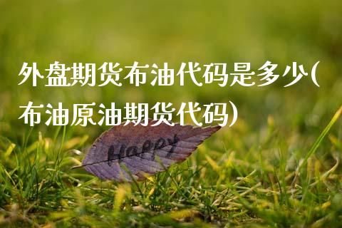 外盘期货布油代码是多少(布油原油期货代码)_https://www.zztgc.com_期货行情_第1张