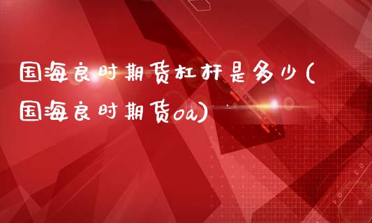 国海良时期货杠杆是多少(国海良时期货oa)_https://www.zztgc.com_期货直播_第1张
