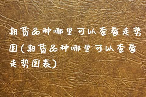 期货品种哪里可以查看走势图(期货品种哪里可以查看走势图表)_https://www.zztgc.com_期货入门_第1张