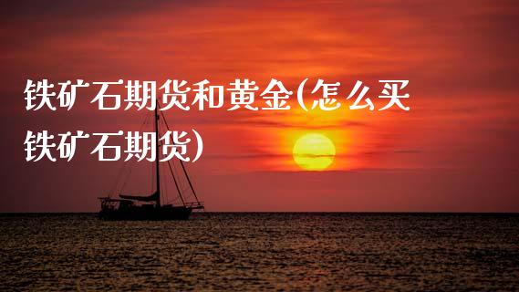铁矿石期货和黄金(怎么买铁矿石期货)_https://www.zztgc.com_期货入门_第1张