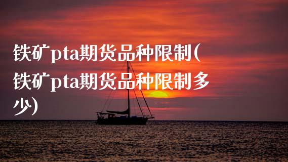 铁矿pta期货品种限制(铁矿pta期货品种限制多少)_https://www.zztgc.com_期货直播_第1张