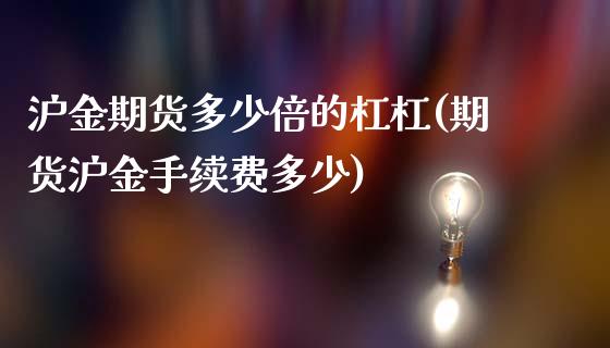 沪金期货多少倍的杠杠(期货沪金手续费多少)_https://www.zztgc.com_原油期货_第1张