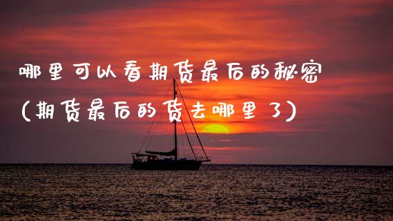 哪里可以看期货最后的秘密(期货最后的货去哪里了)_https://www.zztgc.com_期货行情_第1张