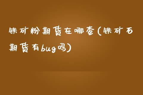 铁矿粉期货在哪查(铁矿石期货有bug吗)_https://www.zztgc.com_期货入门_第1张