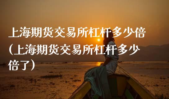 上海期货交易所杠杆多少倍(上海期货交易所杠杆多少倍了)_https://www.zztgc.com_期货直播_第1张