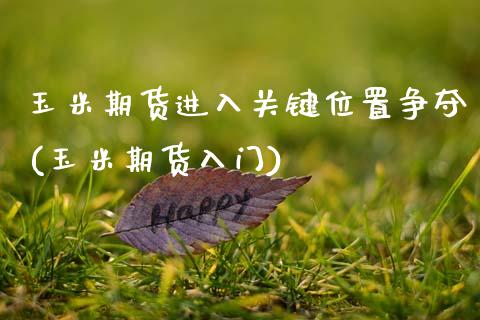 玉米期货进入关键位置争夺(玉米期货入门)_https://www.zztgc.com_期货行情_第1张