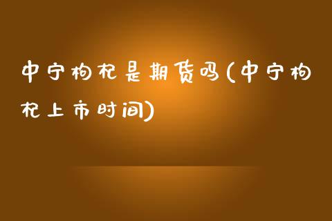 中宁枸杞是期货吗(中宁枸杞上市时间)_https://www.zztgc.com_期货入门_第1张
