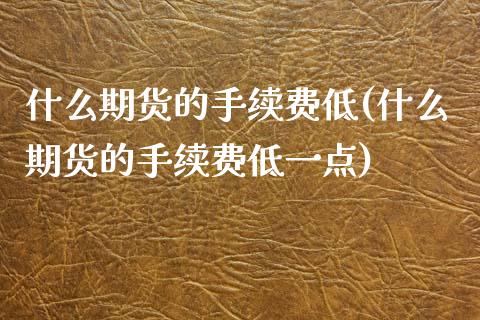 什么期货的手续费低(什么期货的手续费低一点)_https://www.zztgc.com_期货行情_第1张