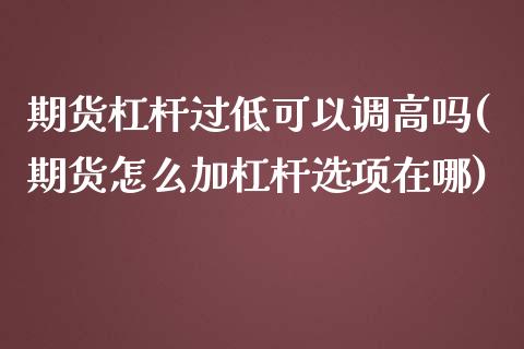 期货杠杆过低可以调高吗(期货怎么加杠杆选项在哪)_https://www.zztgc.com_期货入门_第1张