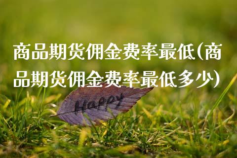 商品期货佣金费率最低(商品期货佣金费率最低多少)_https://www.zztgc.com_期货行情_第1张