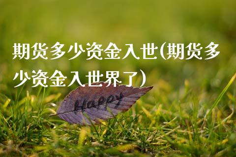 期货多少资金入世(期货多少资金入世界了)_https://www.zztgc.com_期货行情_第1张