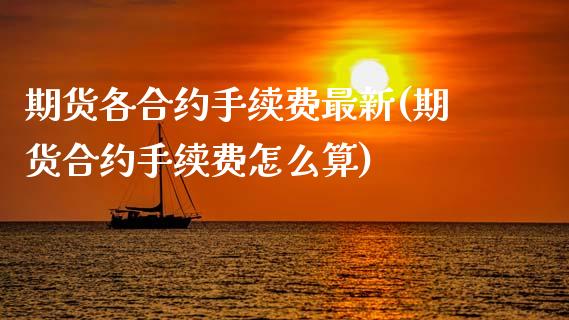 期货各合约手续费最新(期货合约手续费怎么算)_https://www.zztgc.com_原油期货_第1张