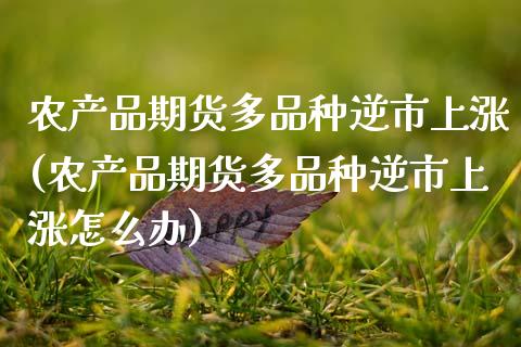 农产品期货多品种逆市上涨(农产品期货多品种逆市上涨怎么办)_https://www.zztgc.com_原油期货_第1张