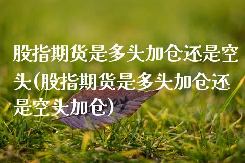 股指期货是多头加仓还是空头(股指期货是多头加仓还是空头加仓)_https://www.zztgc.com_期货直播_第1张