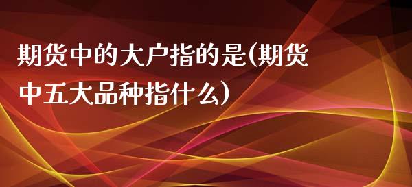 期货中的大户指的是(期货中五大品种指什么)_https://www.zztgc.com_期货直播_第1张