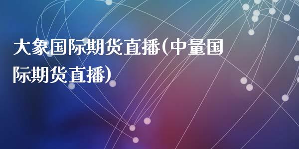 大象国际期货直播(中量国际期货直播)_https://www.zztgc.com_期货直播_第1张
