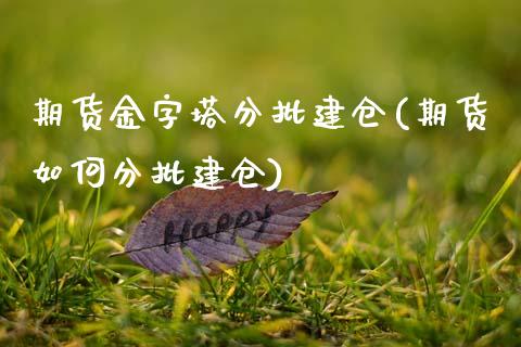 期货金字塔分批建仓(期货如何分批建仓)_https://www.zztgc.com_黄金期货_第1张