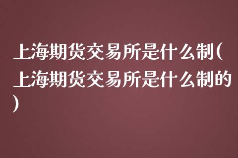 上海期货交易所是什么制(上海期货交易所是什么制的)_https://www.zztgc.com_期货入门_第1张