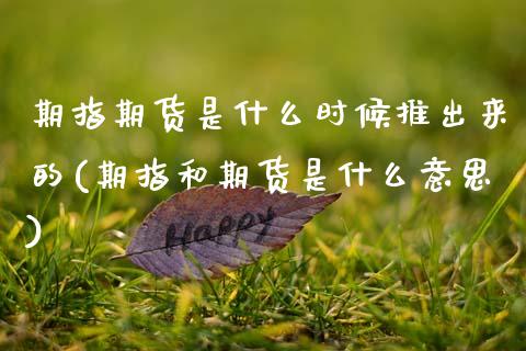 期指期货是什么时候推出来的(期指和期货是什么意思)_https://www.zztgc.com_黄金期货_第1张