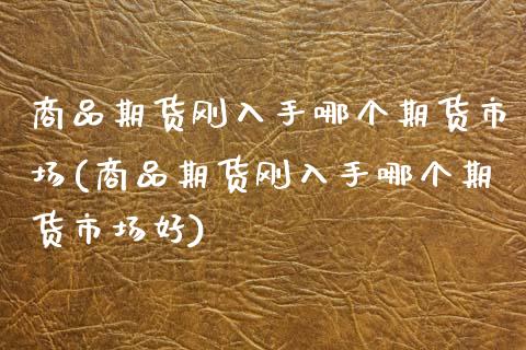 商品期货刚入手哪个期货市场(商品期货刚入手哪个期货市场好)_https://www.zztgc.com_期货直播_第1张