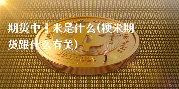 期货中籼米是什么(粳米期货跟什么有关)_https://www.zztgc.com_期货直播_第1张