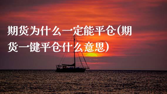 期货为什么一定能平仓(期货一键平仓什么意思)_https://www.zztgc.com_期货直播_第1张