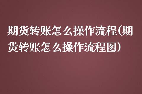 期货转账怎么操作流程(期货转账怎么操作流程图)_https://www.zztgc.com_期货直播_第1张