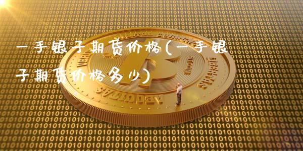 一手银子期货价格(一手银子期货价格多少)_https://www.zztgc.com_期货开户_第1张