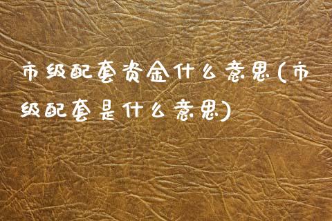 市级配套资金什么意思(市级配套是什么意思)_https://www.zztgc.com_期货入门_第1张