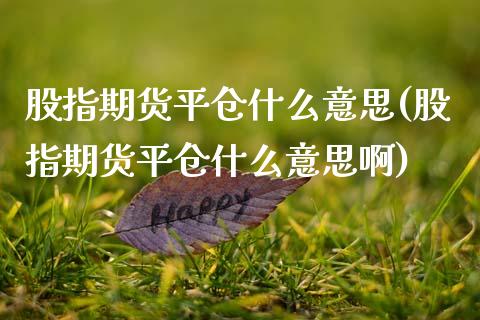 股指期货平仓什么意思(股指期货平仓什么意思啊)_https://www.zztgc.com_原油期货_第1张