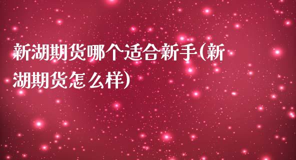 新湖期货哪个适合新手(新湖期货怎么样)_https://www.zztgc.com_期货直播_第1张