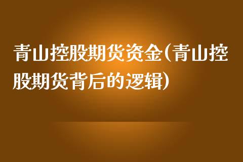 青山控股期货资金(青山控股期货背后的逻辑)_https://www.zztgc.com_期货行情_第1张
