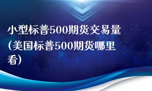 小型标普500期货交易量(美国标普500期货哪里看)_https://www.zztgc.com_黄金期货_第1张