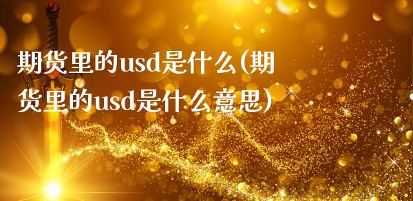 期货里的usd是什么(期货里的usd是什么意思)_https://www.zztgc.com_黄金期货_第1张