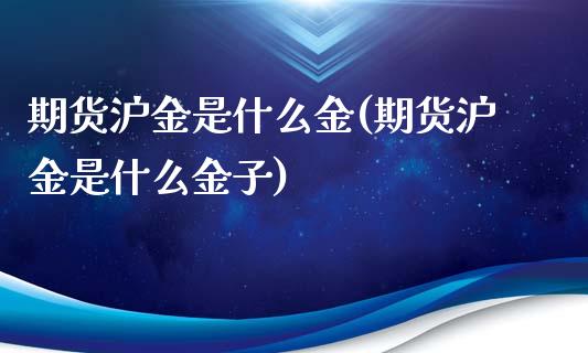 期货沪金是什么金(期货沪金是什么金子)_https://www.zztgc.com_黄金期货_第1张