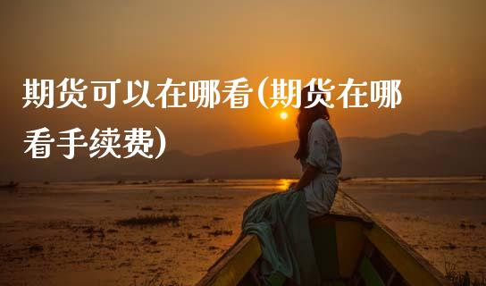 期货可以在哪看(期货在哪看手续费)_https://www.zztgc.com_黄金期货_第1张