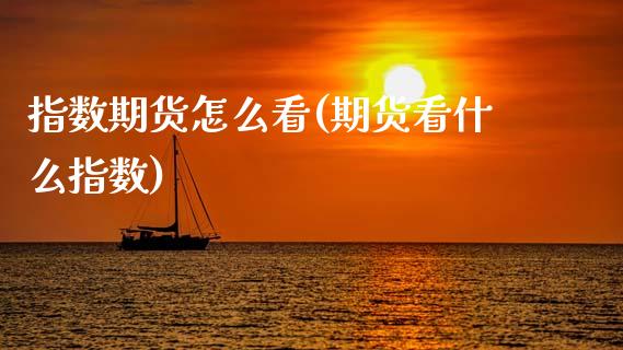 指数期货怎么看(期货看什么指数)_https://www.zztgc.com_原油期货_第1张
