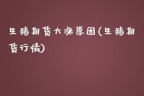 生猪期货大涨原因(生猪期货行情)_https://www.zztgc.com_期货直播_第1张