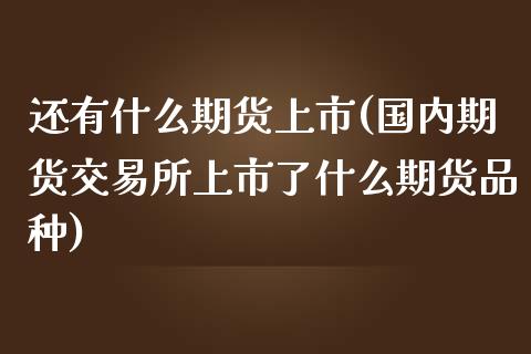 还有什么期货上市(国内期货交易所上市了什么期货品种)_https://www.zztgc.com_期货入门_第1张