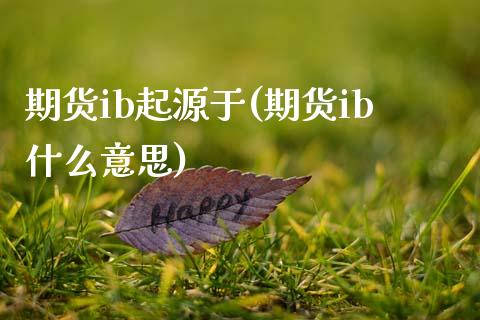 期货ib起源于(期货ib什么意思)_https://www.zztgc.com_期货直播_第1张
