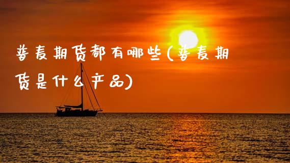 普麦期货都有哪些(普麦期货是什么产品)_https://www.zztgc.com_黄金期货_第1张