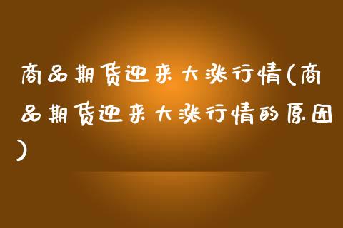 商品期货迎来大涨行情(商品期货迎来大涨行情的原因)_https://www.zztgc.com_期货直播_第1张
