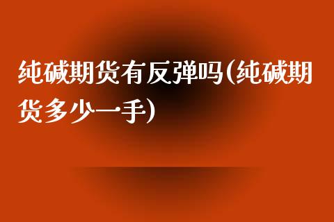 纯碱期货有反弹吗(纯碱期货多少一手)_https://www.zztgc.com_原油期货_第1张