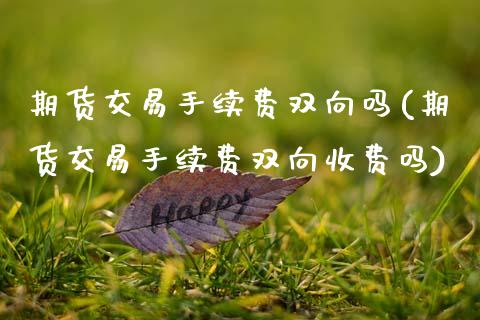 期货交易手续费双向吗(期货交易手续费双向收费吗)_https://www.zztgc.com_期货直播_第1张