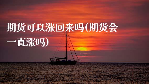 期货可以涨回来吗(期货会一直涨吗)_https://www.zztgc.com_黄金期货_第1张