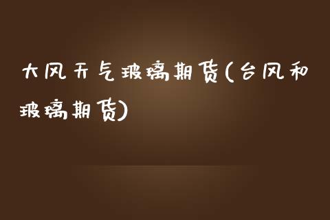 大风天气玻璃期货(台风和玻璃期货)_https://www.zztgc.com_期货入门_第1张