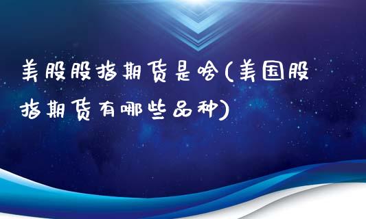 美股股指期货是啥(美国股指期货有哪些品种)_https://www.zztgc.com_黄金期货_第1张