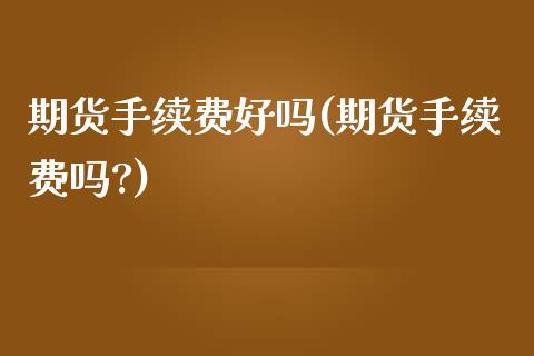 期货手续费好吗(期货手续费吗?)_https://www.zztgc.com_原油期货_第1张