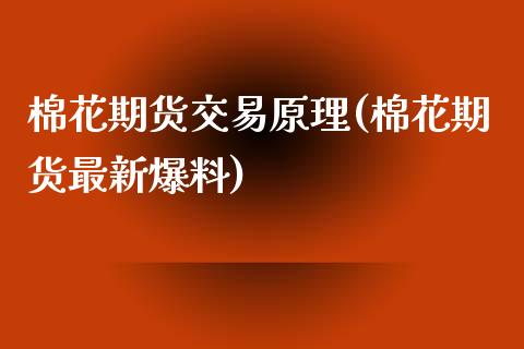 棉花期货交易原理(棉花期货最新爆料)_https://www.zztgc.com_期货入门_第1张